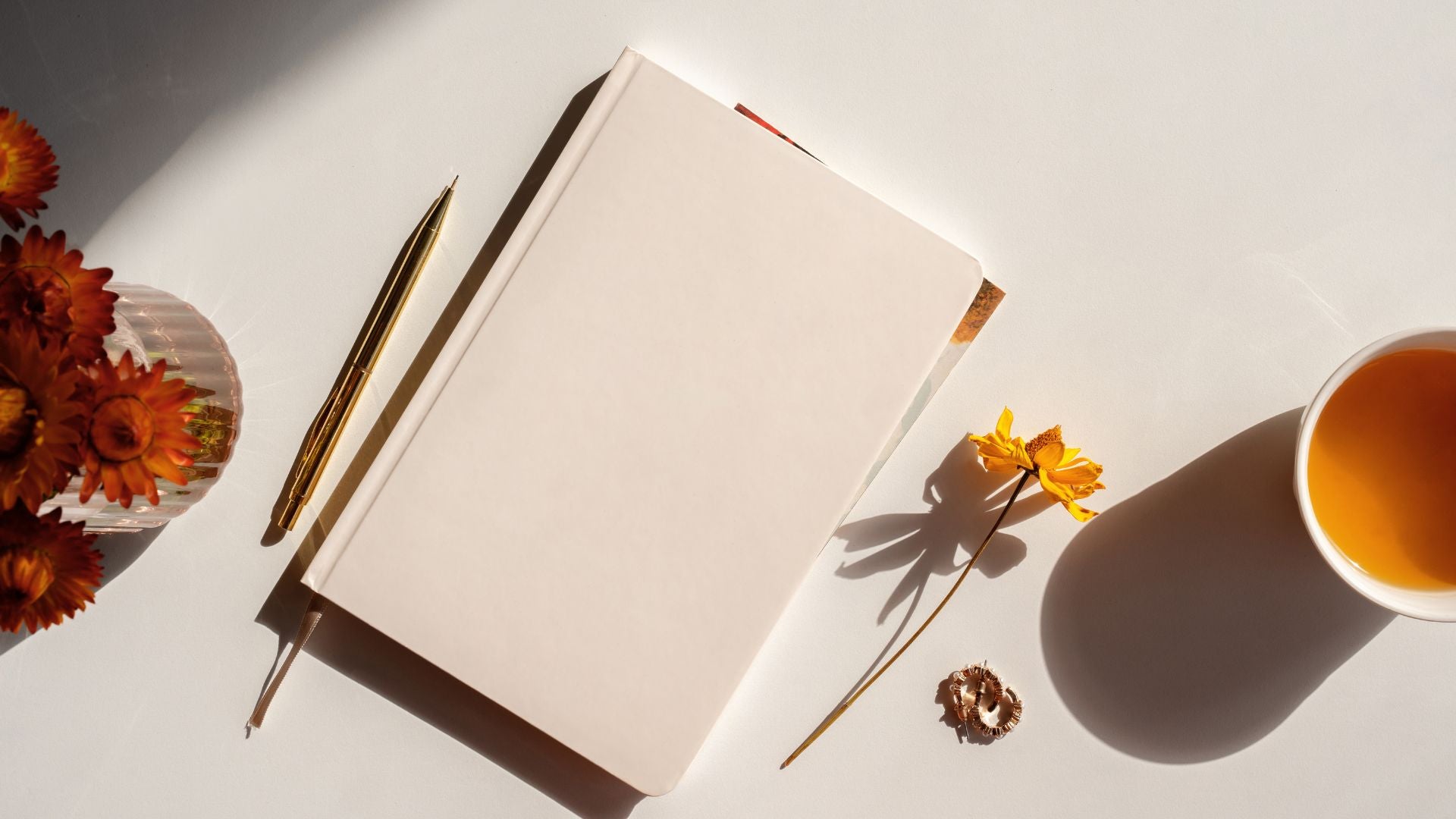 journal notebook on desk with pen and coffee